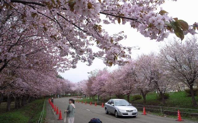 連休最終日なのに残念な天気。_c0051132_2015499.jpg