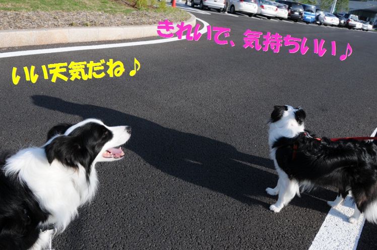 c0147241_17463393.jpg