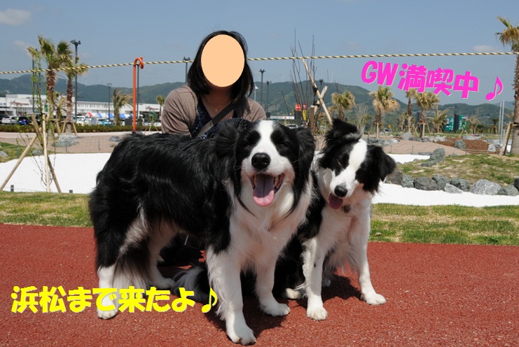 c0147241_17471479.jpg