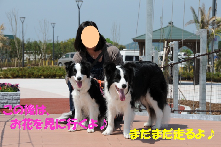 c0147241_17472949.jpg