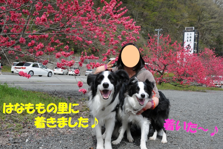c0147241_17474665.jpg
