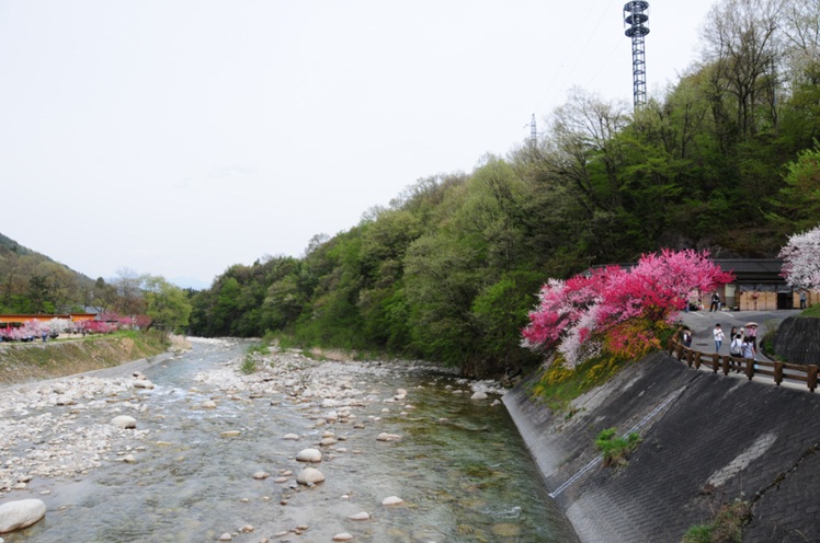 花桃を見に行ってきた♪_c0147241_17485054.jpg