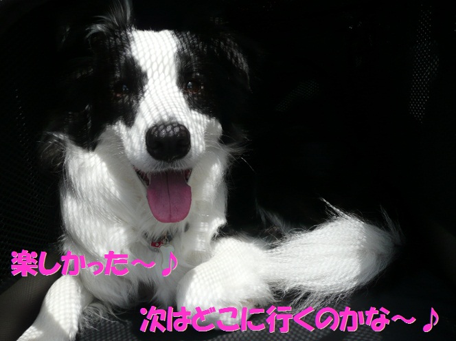 c0147241_1749311.jpg