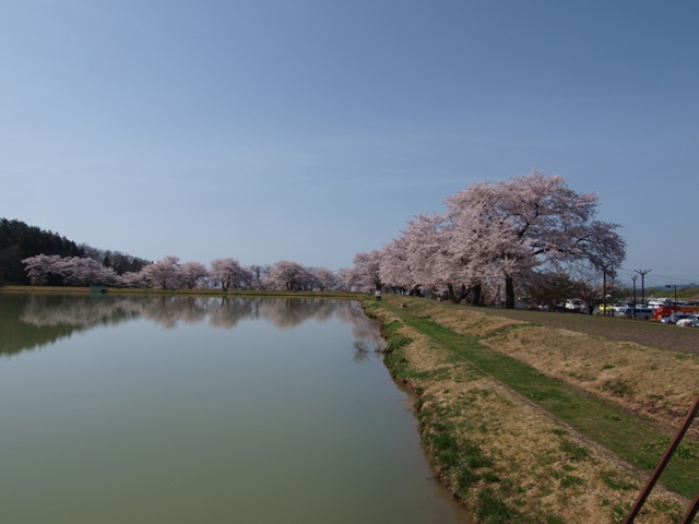 GW犬連れ車中泊の旅　道の駅喜多の郷編_b0080342_17223990.jpg