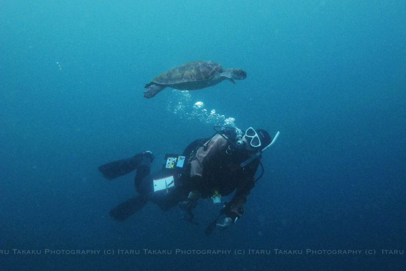 悩ましい海況_b0186442_20564289.jpg