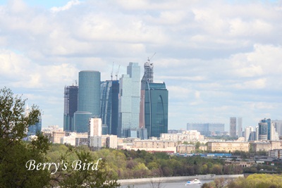 e0173743_1515883.jpg