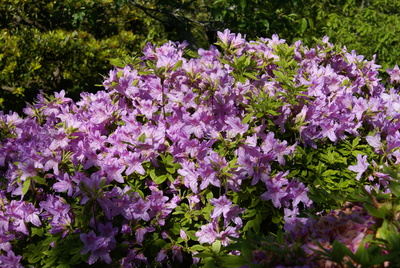 f0031546_1524688.jpg