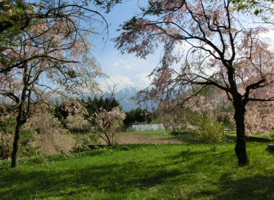 ゼロ_f0019247_06593.jpg