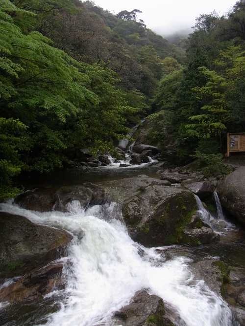 a0150050_11501334.jpg