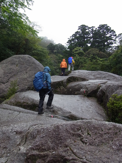 a0150050_11523318.jpg