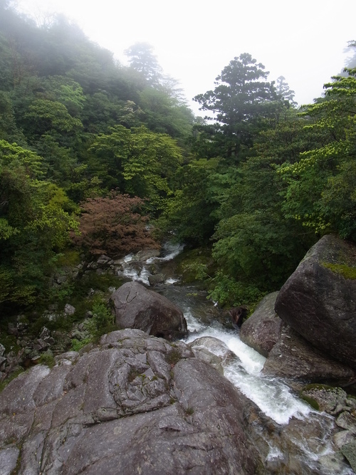 a0150050_11583369.jpg