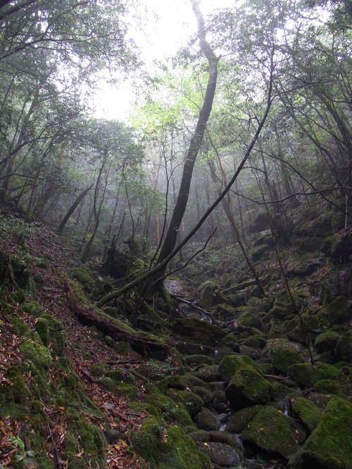 a0150050_1205592.jpg