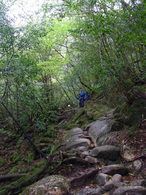 a0150050_1212289.jpg