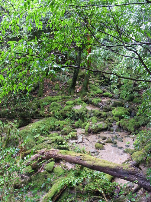 a0150050_12161288.jpg