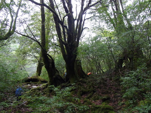 a0150050_1217217.jpg