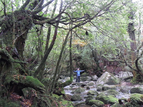 a0150050_1221354.jpg