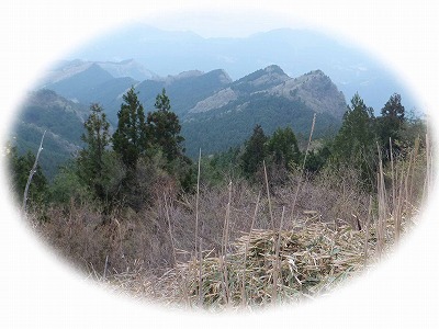 d0048350_2016280.jpg