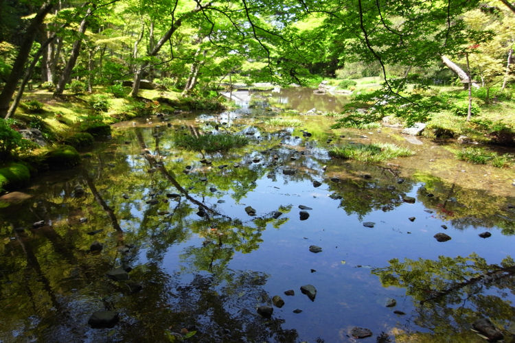 京都散歩　無鄰菴の庭園_c0181552_19182655.jpg