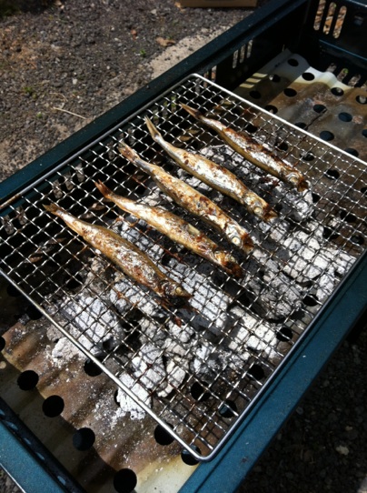c0243355_82974.jpg