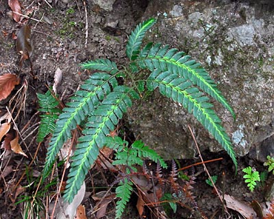e0035757_13195139.jpg