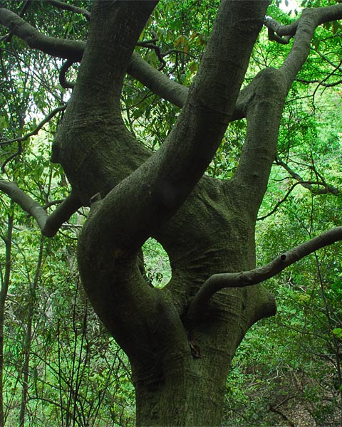 e0035757_13213163.jpg