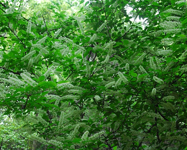 e0035757_13251278.jpg