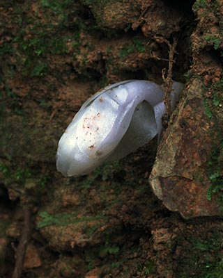 e0035757_13385450.jpg