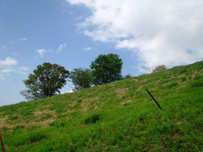c0173159_21184754.jpg