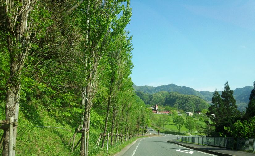 c0173159_2133843.jpg