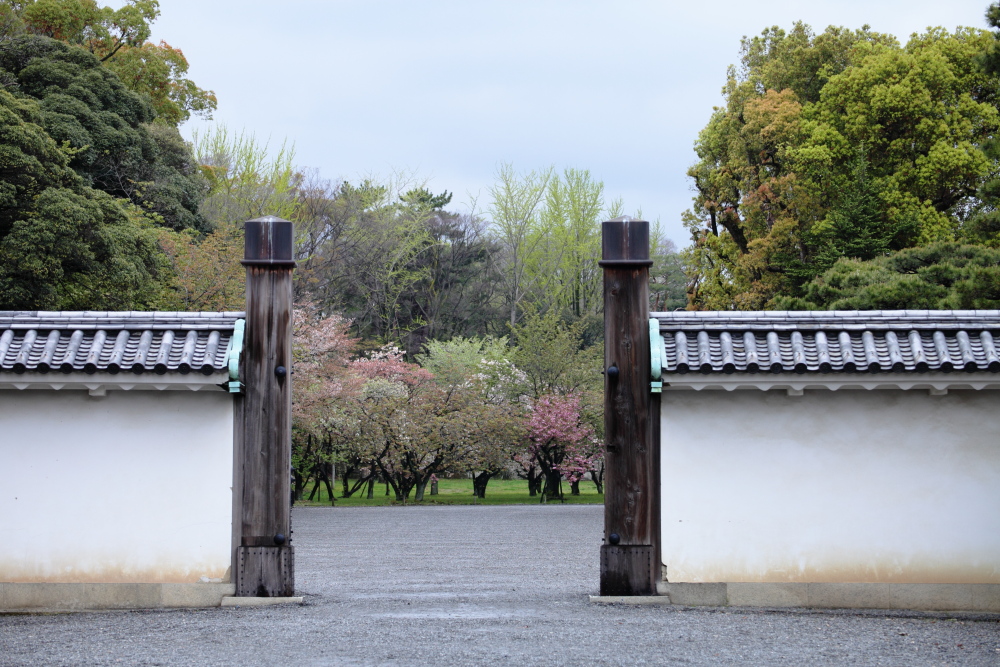 桜　2012  京都　<二条城>_f0021869_23284272.jpg