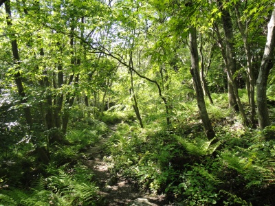 d0182075_1818288.jpg