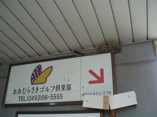 c0240877_2313187.jpg
