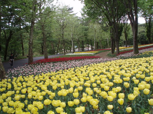 c0240877_2325553.jpg
