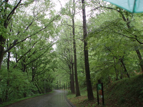 c0240877_23391170.jpg