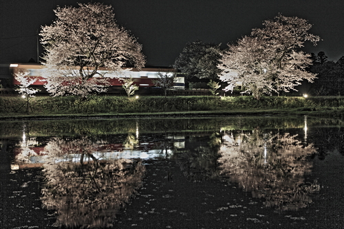 小湊鉄道　飯給（いたぶ）駅_f0114377_633684.jpg