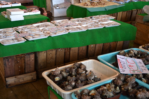 f0232785_15163844.jpg