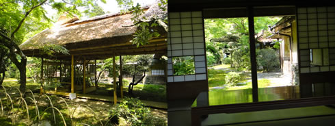 緑の九年庵_d0132289_1485565.jpg