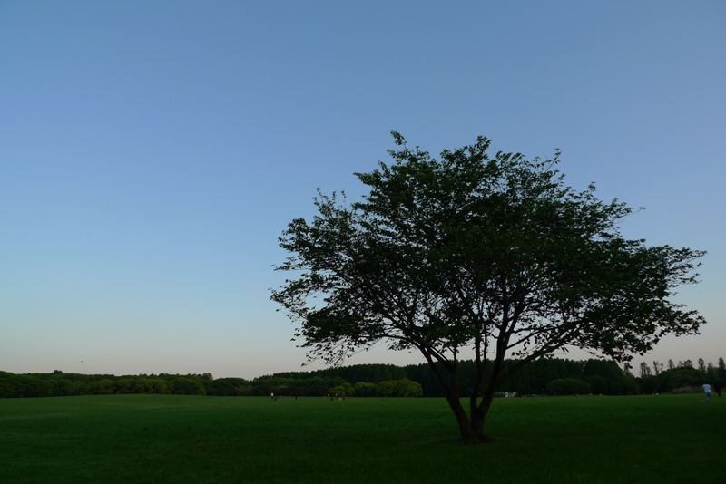a0127090_11270.jpg