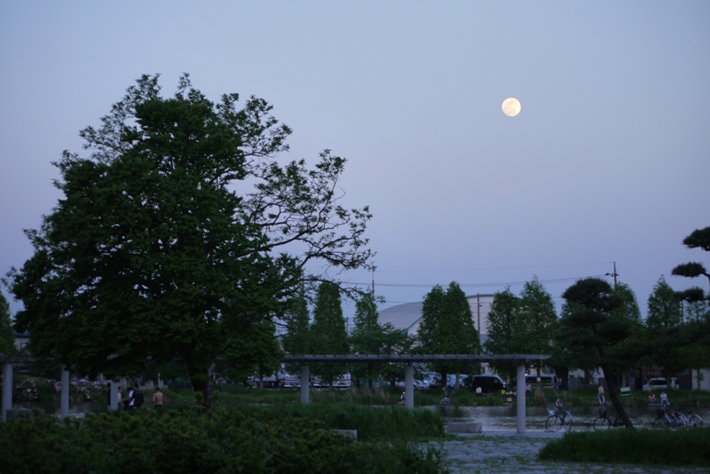 a0127090_17147.jpg