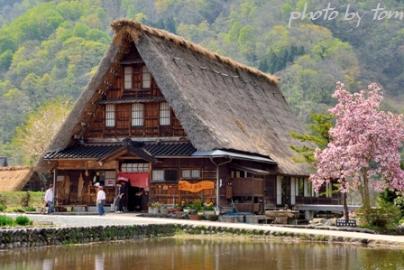 富山散歩～県西部131～晩春、五箇山_b0155692_19351868.jpg