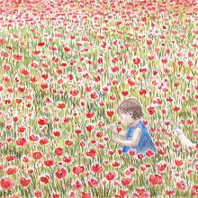 ひなげしの野原 まほうの絵の具箱 ひなげしの野原 まほうの絵の具箱