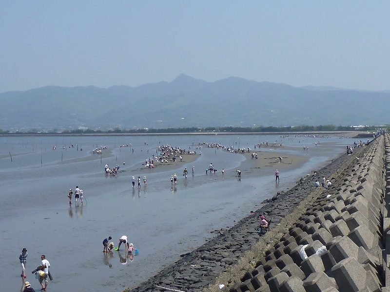 マテ貝採り 虫央堂 マテ貝採り 虫央堂
