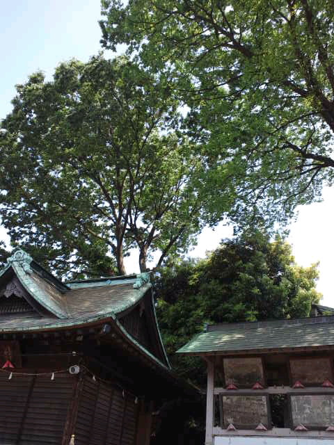 御礼参り〜熊野神社②_f0077595_1934861.jpg