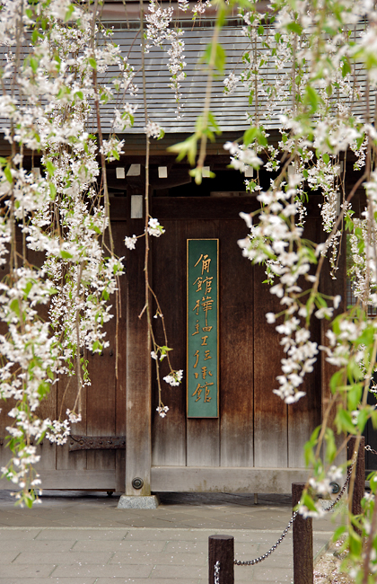 桜の小京都　角館_a0184303_2216437.jpg