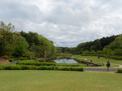 b0147203_21365996.jpg
