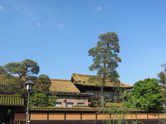 f0197703_16555159.jpg