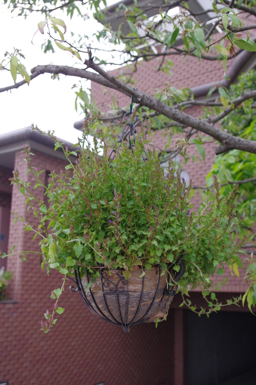 b0247704_22174383.jpg