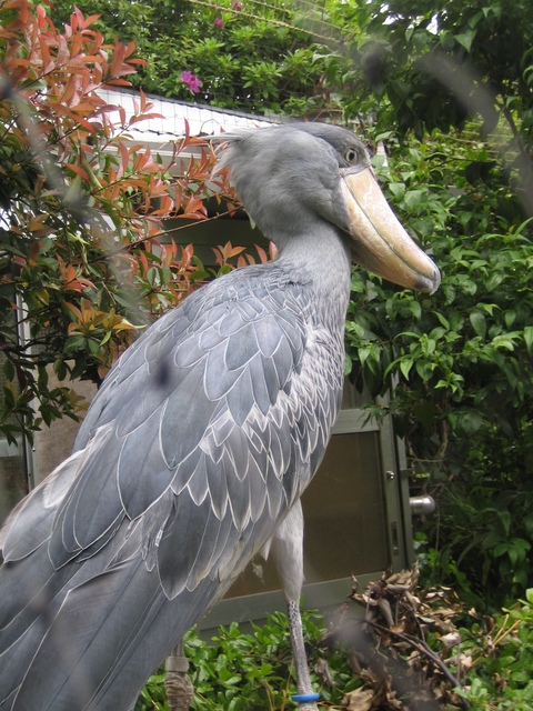 e0147206_23561616.jpg
