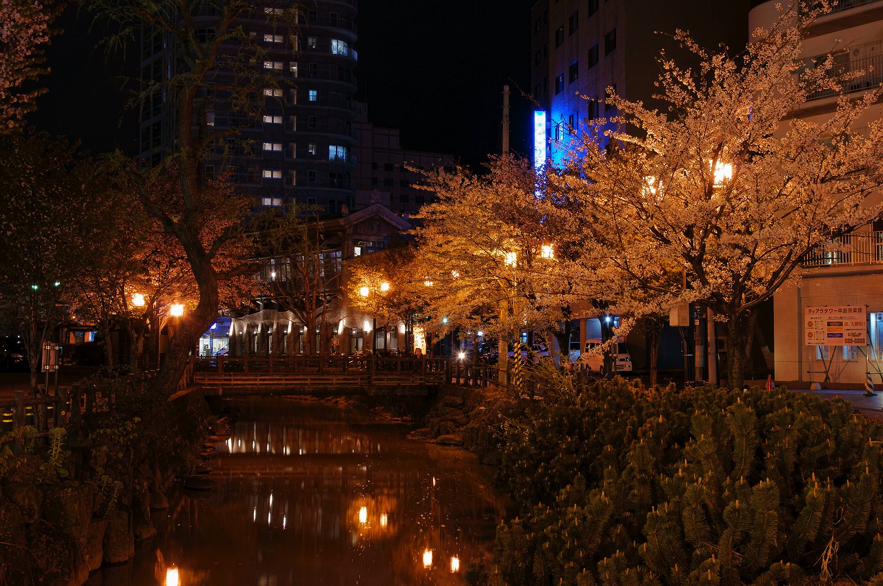 鴨々川の夜桜_b0225108_22534444.jpg