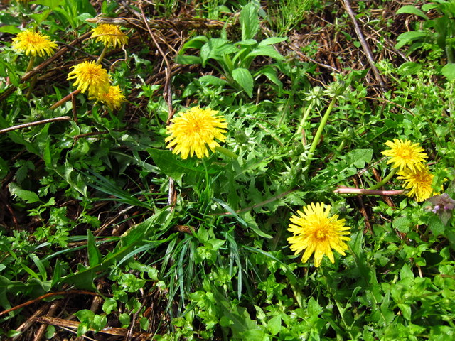 f0137709_0242029.jpg